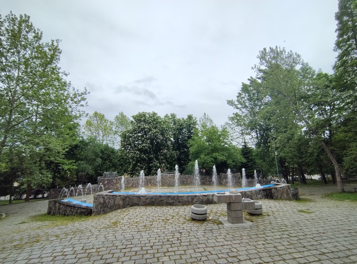 Parque Pitești en Slatina - foto 4