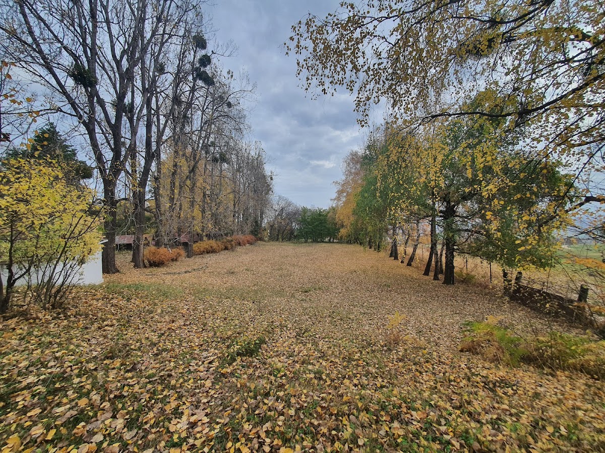 Parco Poiana Deleni - foto 4