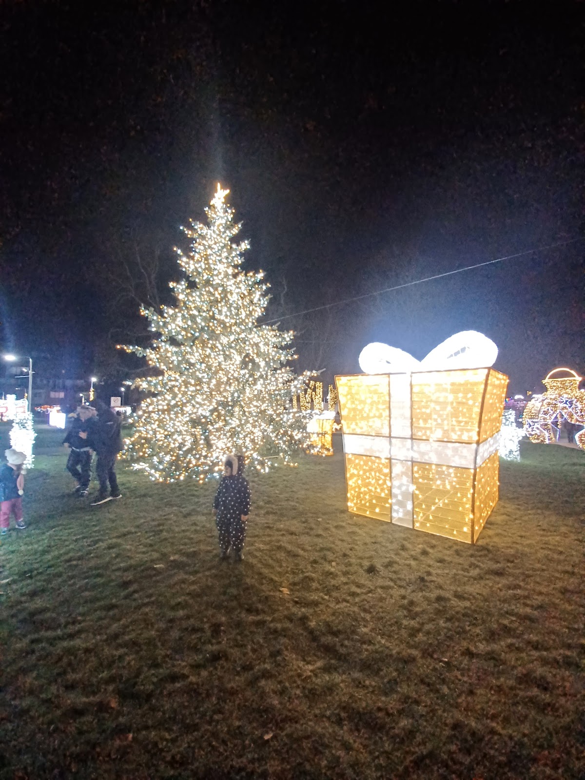 Parc Poligonului - foto 3