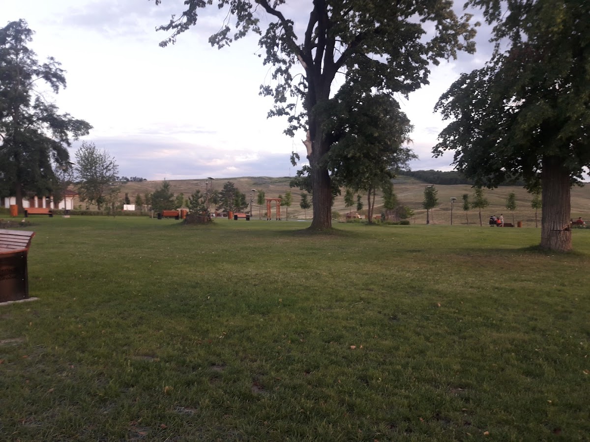 Parcul Polonic