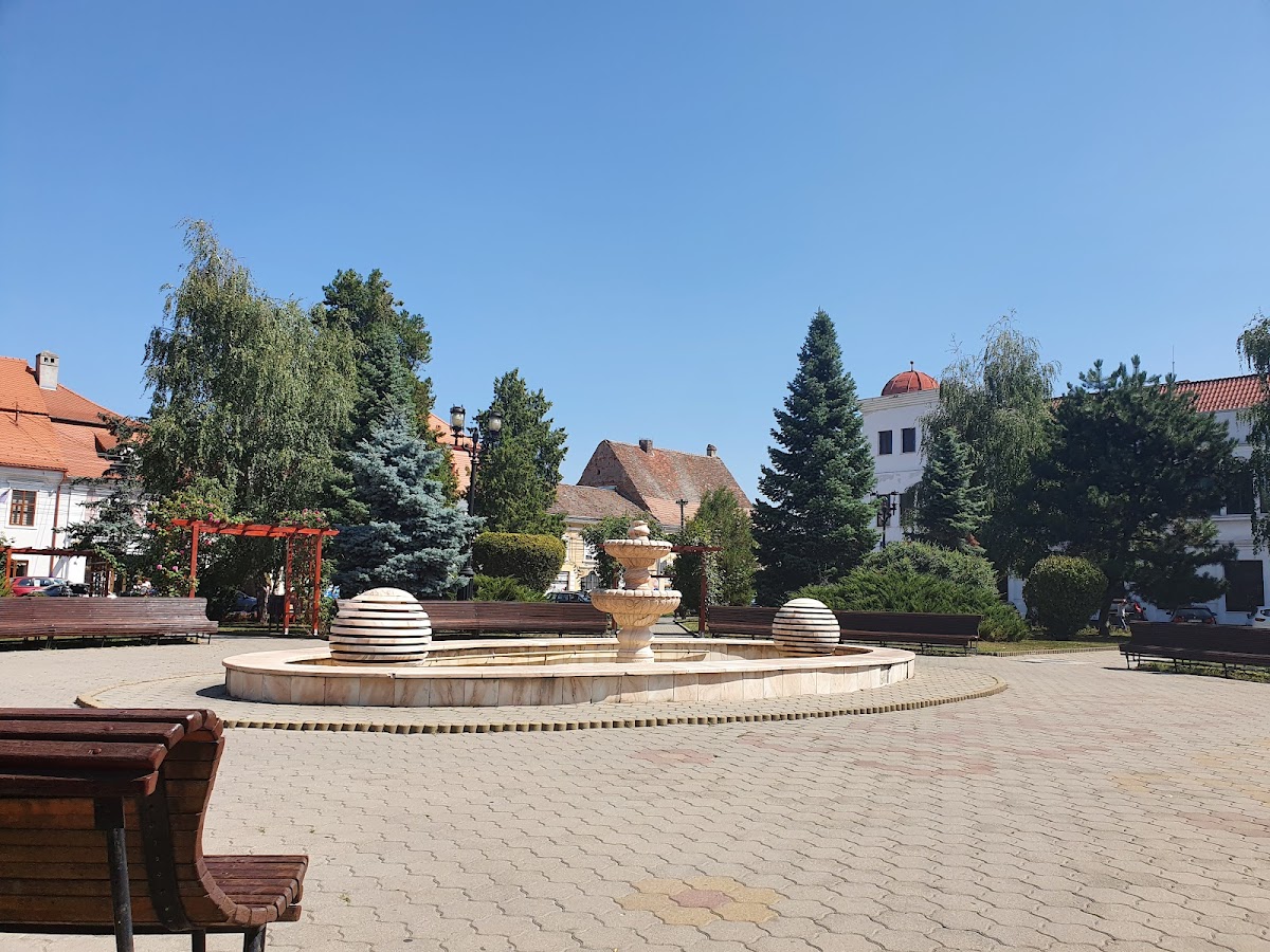 Parcul Primariei - foto 2