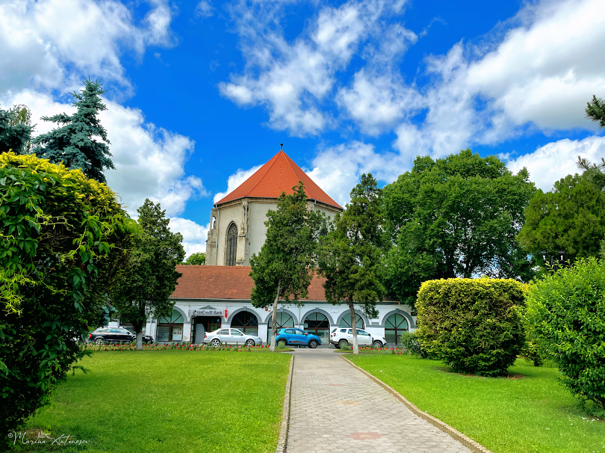 Parcul Primăriei - foto 3