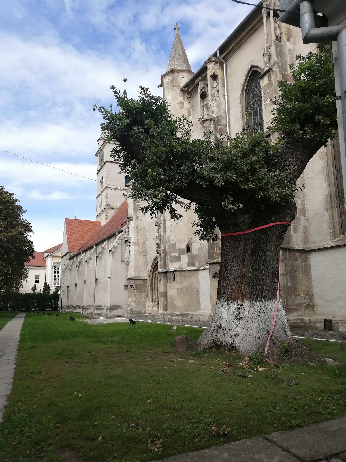 Parcul Primariei - foto 4