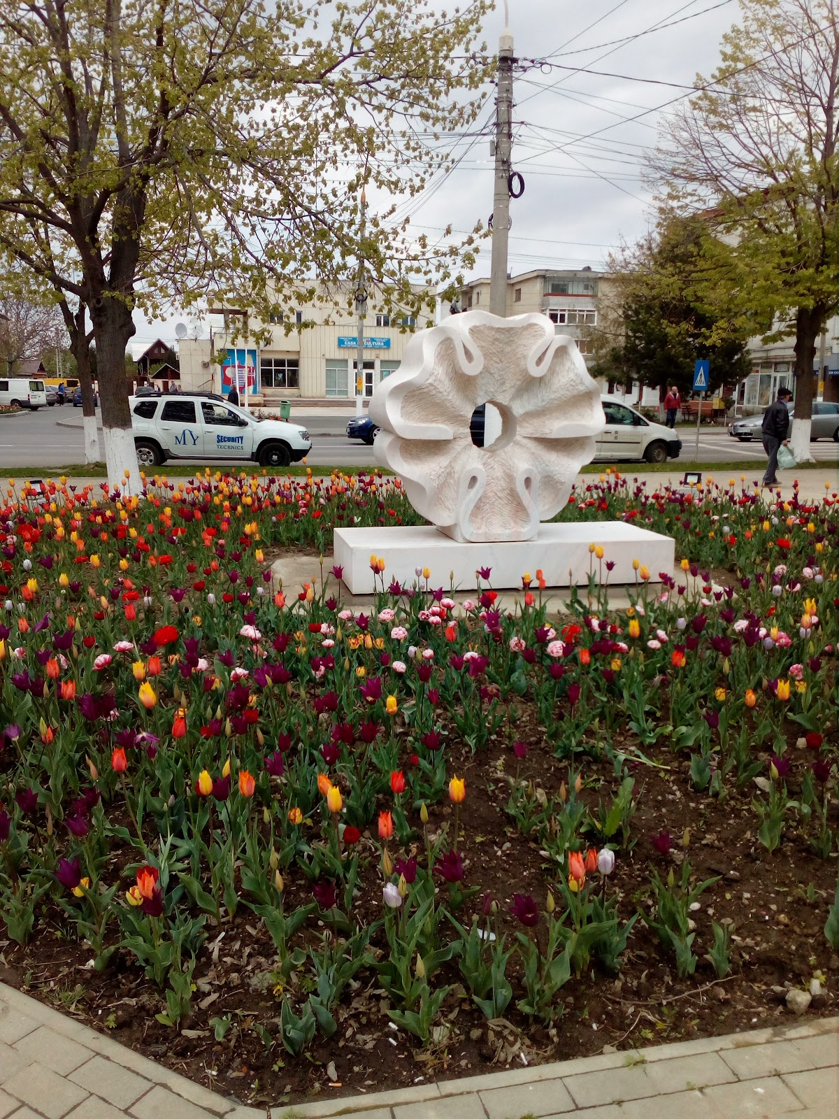 Parcul public Ianca - foto 1
