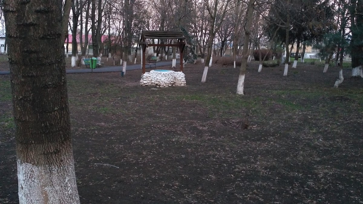 Parcul public Ianca - foto 4