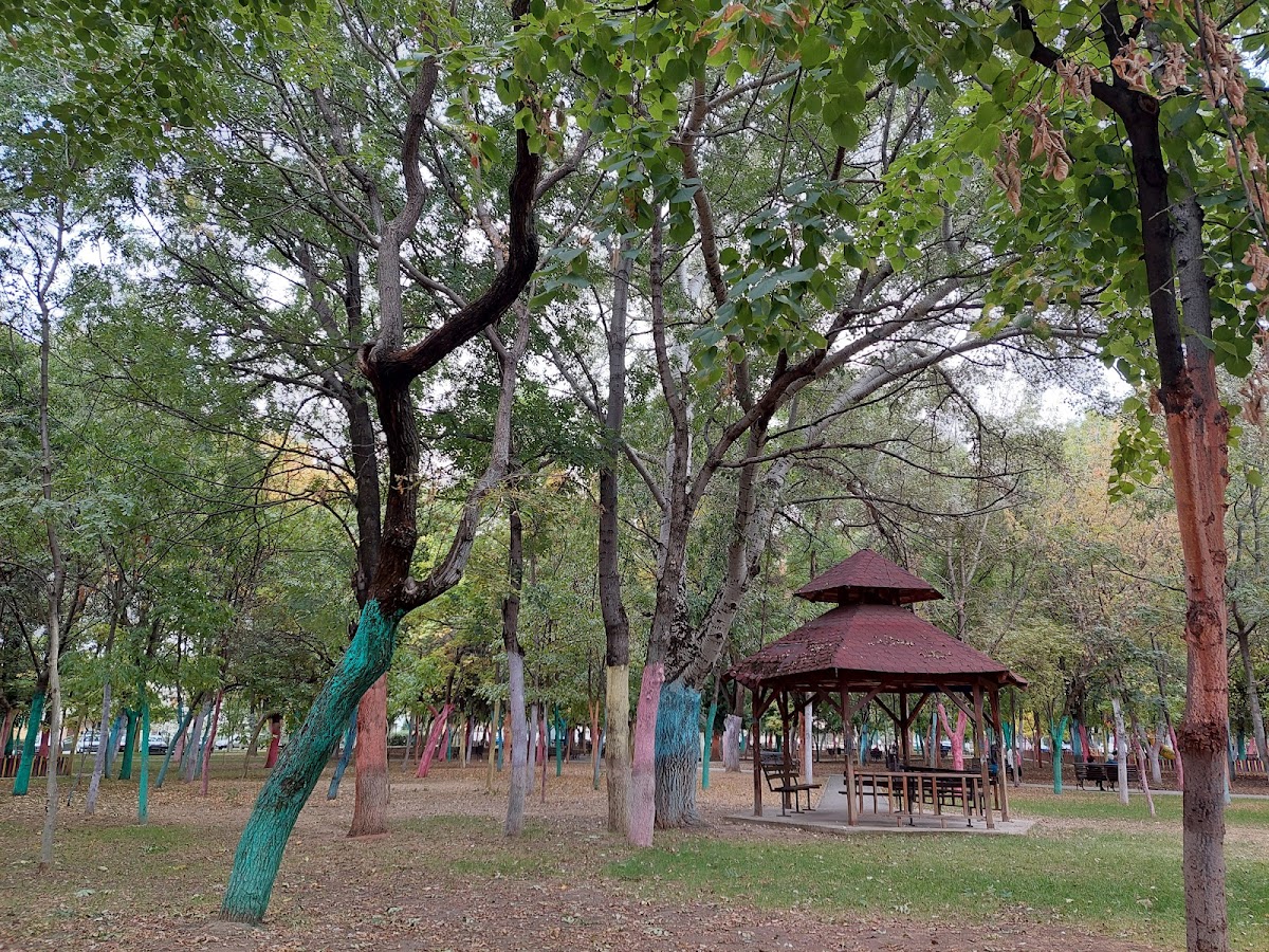 Parcul Pușkin - Crizantemelor - foto 3