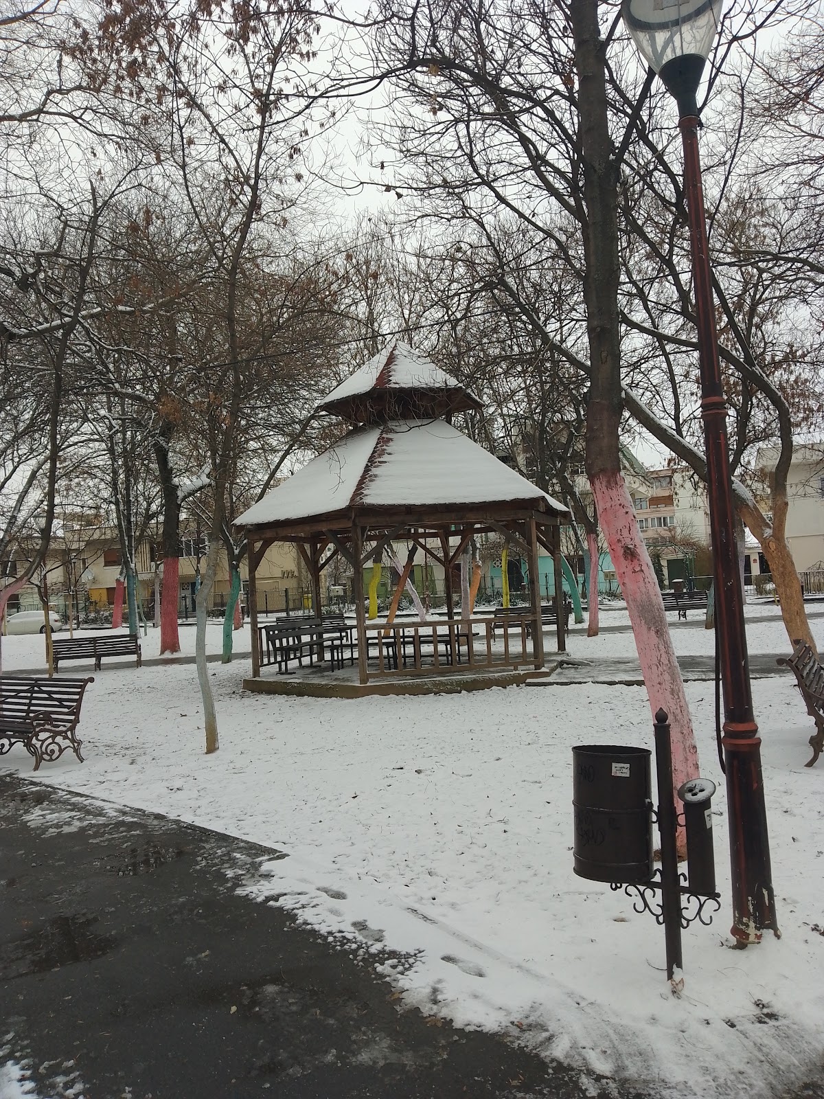 Parcul Pușkin - Crizantemelor - foto 4