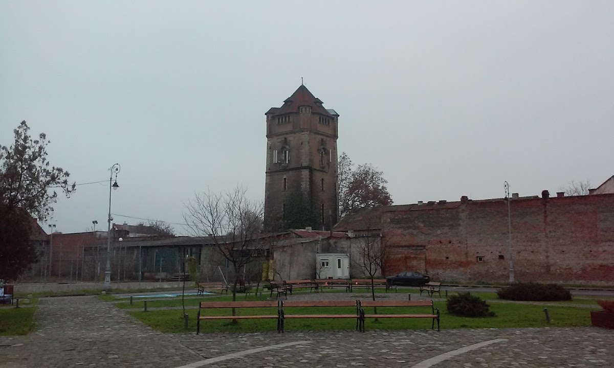 Parcul Reconcilierii româno-maghiare - foto 5