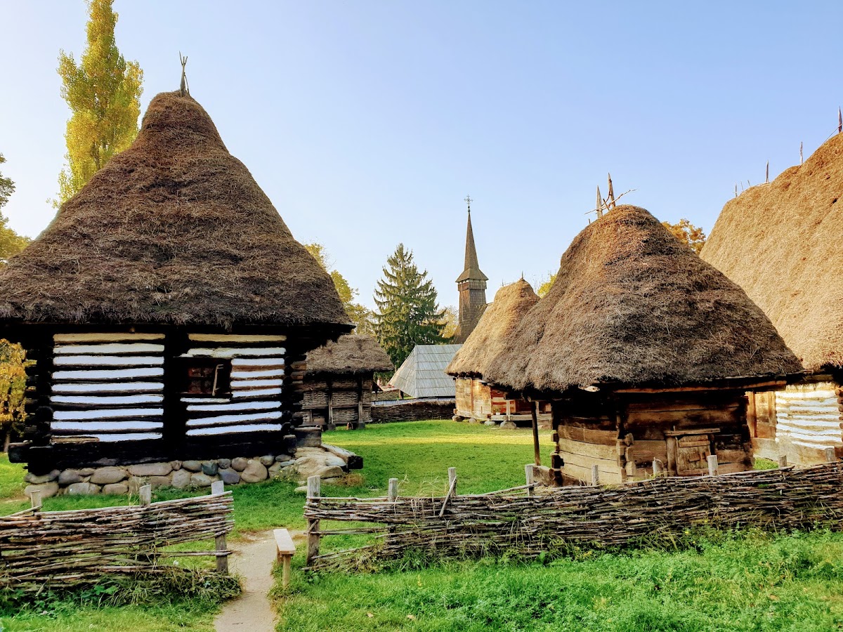 King Mihai I Park - foto 4