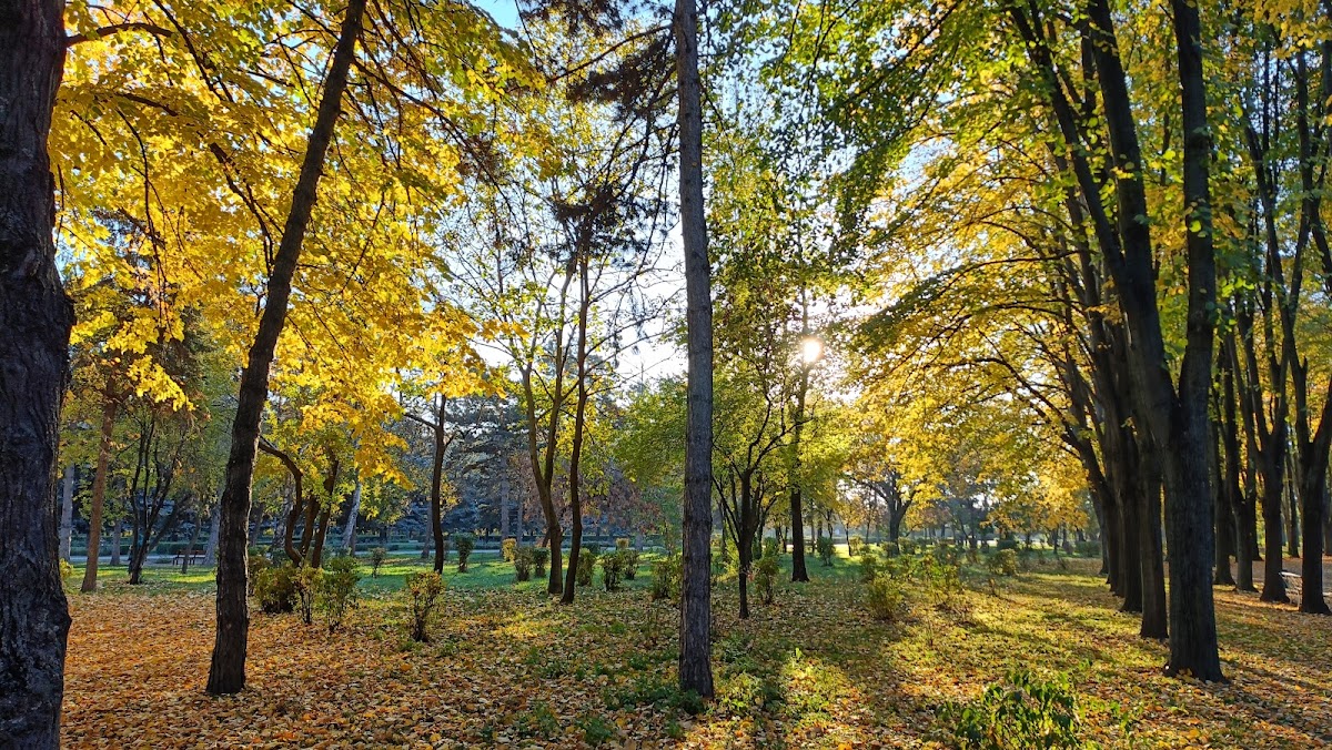 罗马尼亚米哈伊一世公园 - foto 2