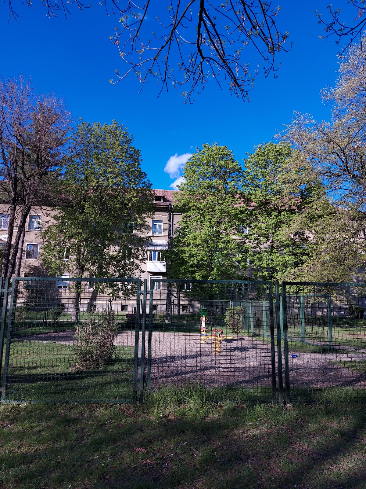 Parcul „Regina Maria” Onești - foto 3