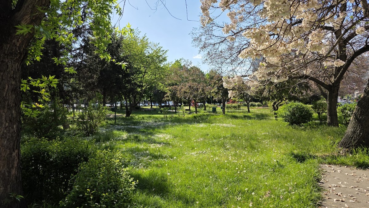 Parco della Repubblica - foto 2