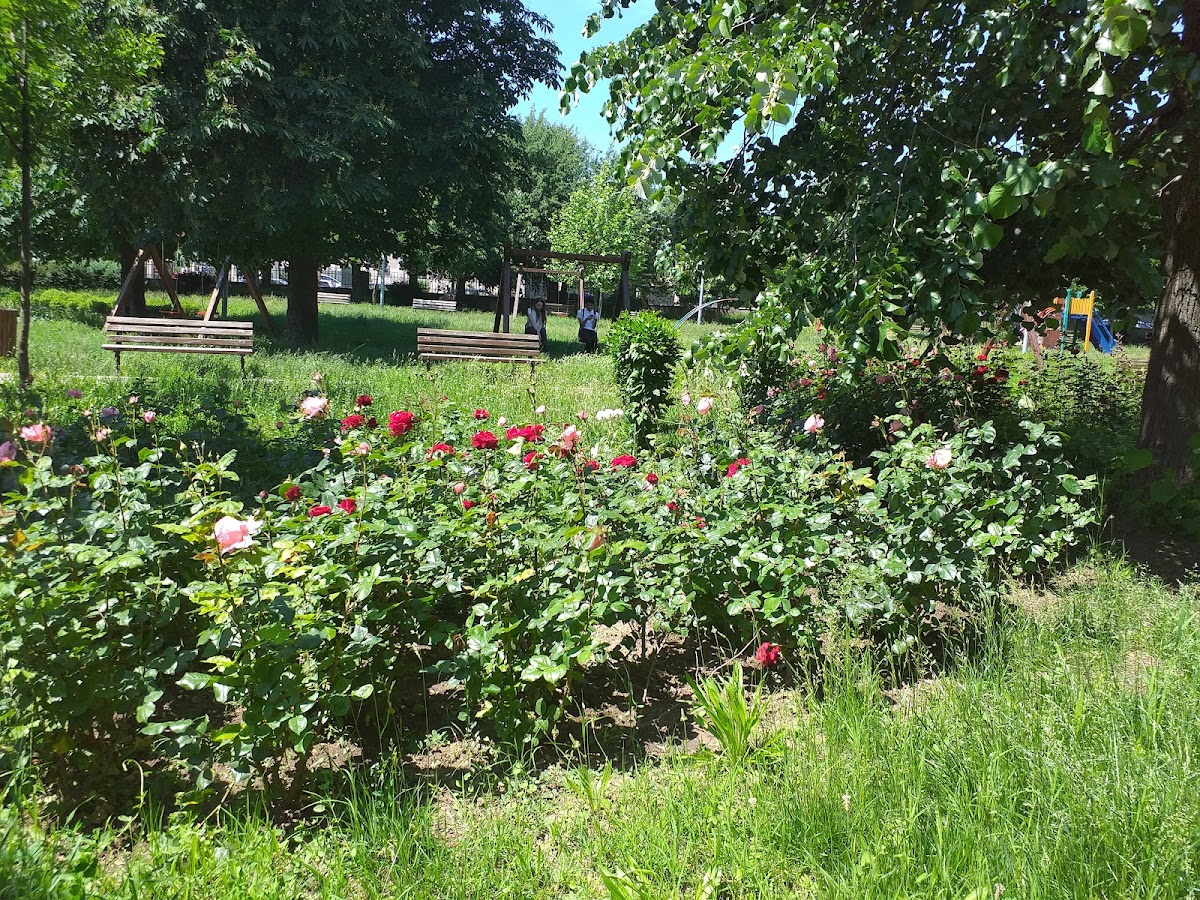 Parco Rizler - foto 2