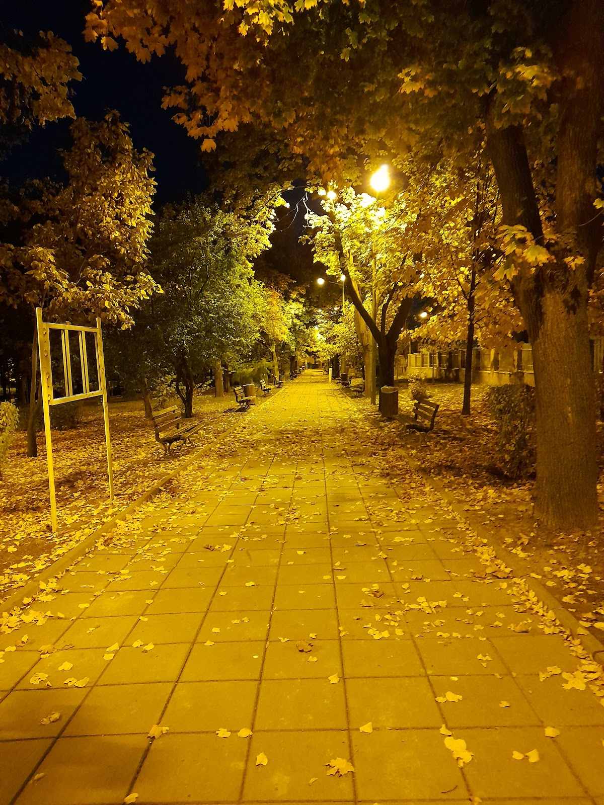 Parco Rizler - foto 3