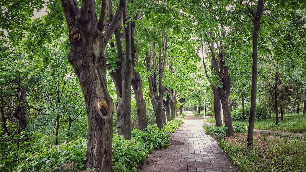 Parque de las Rosas - foto 3