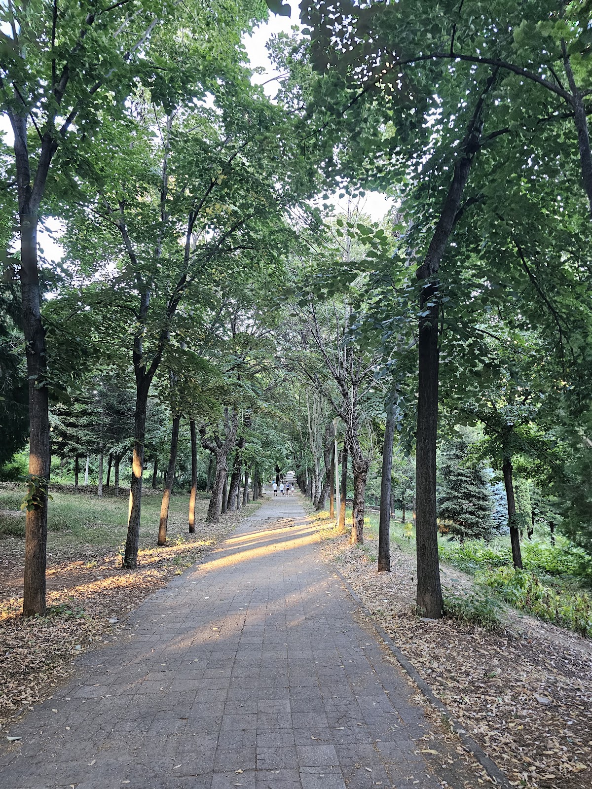 Parque de las Rosas - foto 5