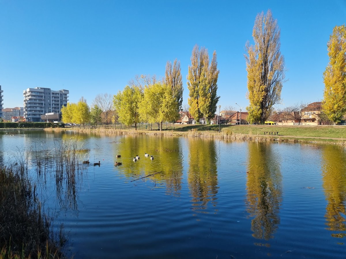 Parcul Salca - foto 4