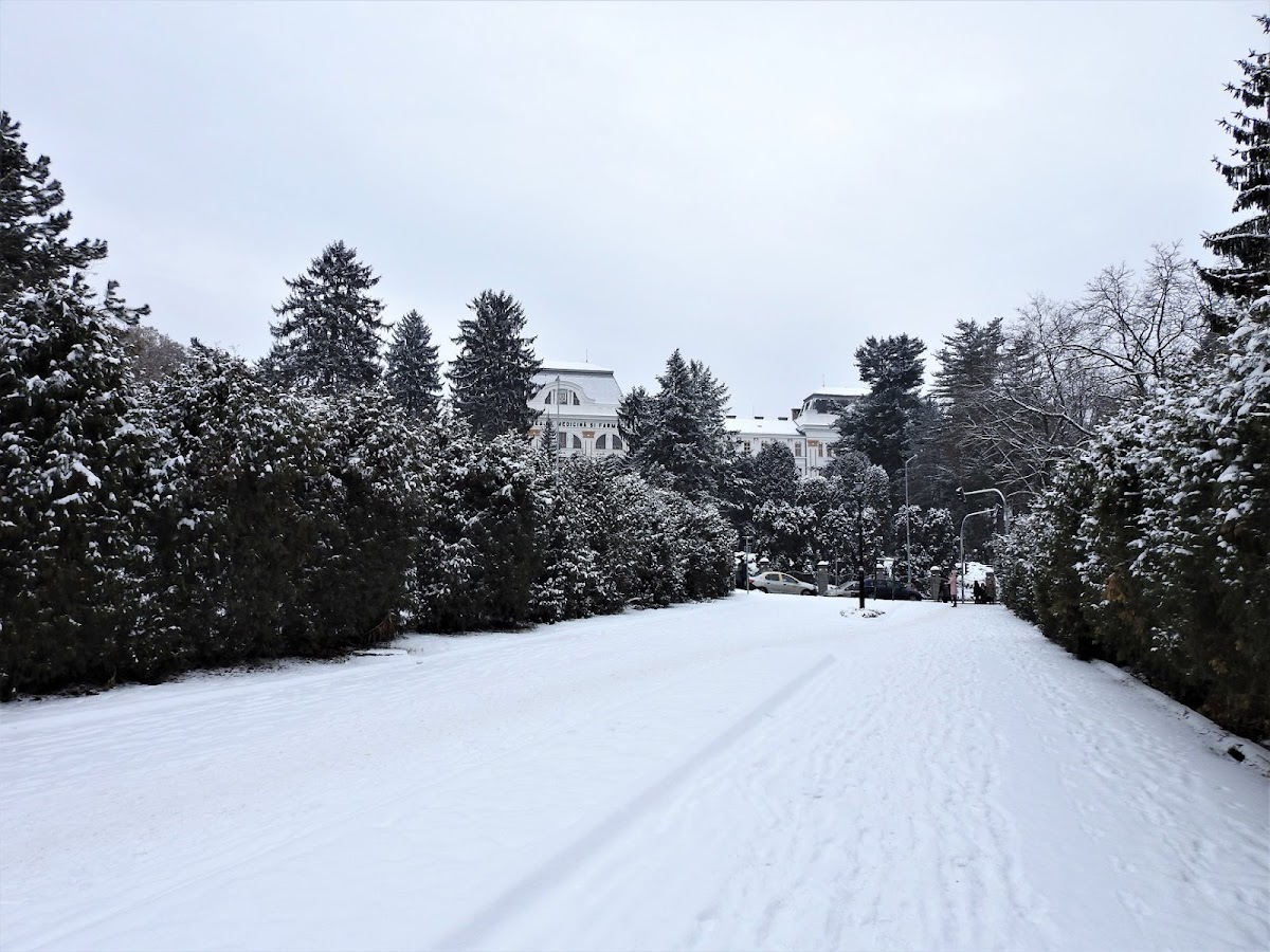 Parcul Secuilor Martiri, Târgu Mureş