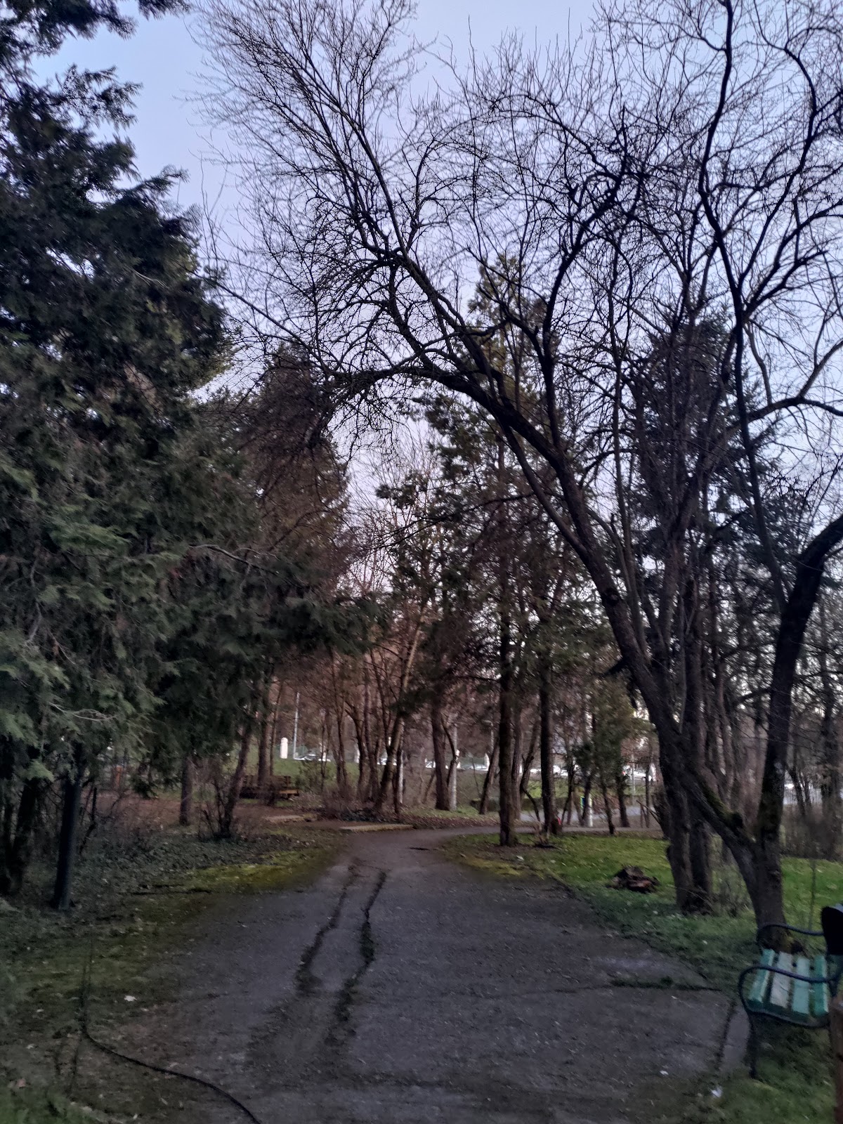 Parcul Secuilor Martiri - foto 2