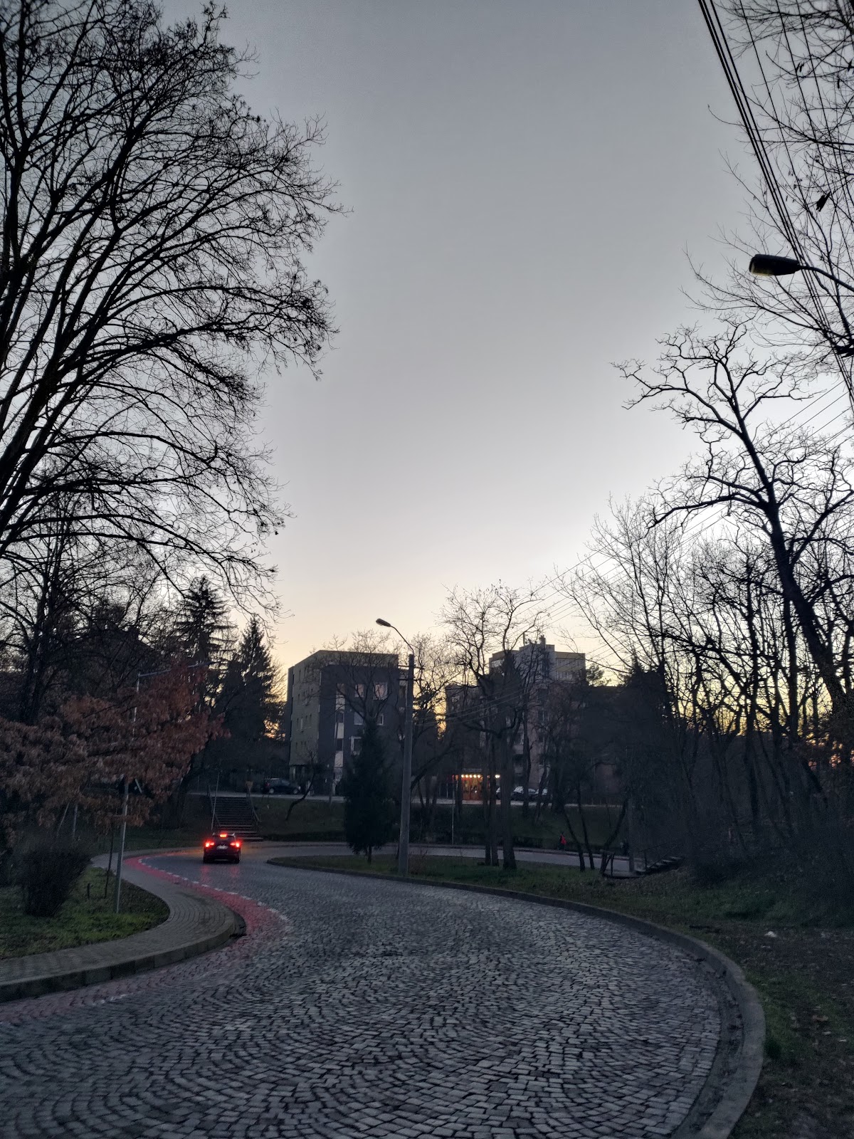 Parcul Secuilor Martiri - foto 3