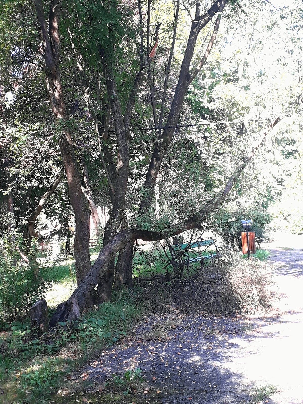Parcul Secuilor Martiri - foto 5