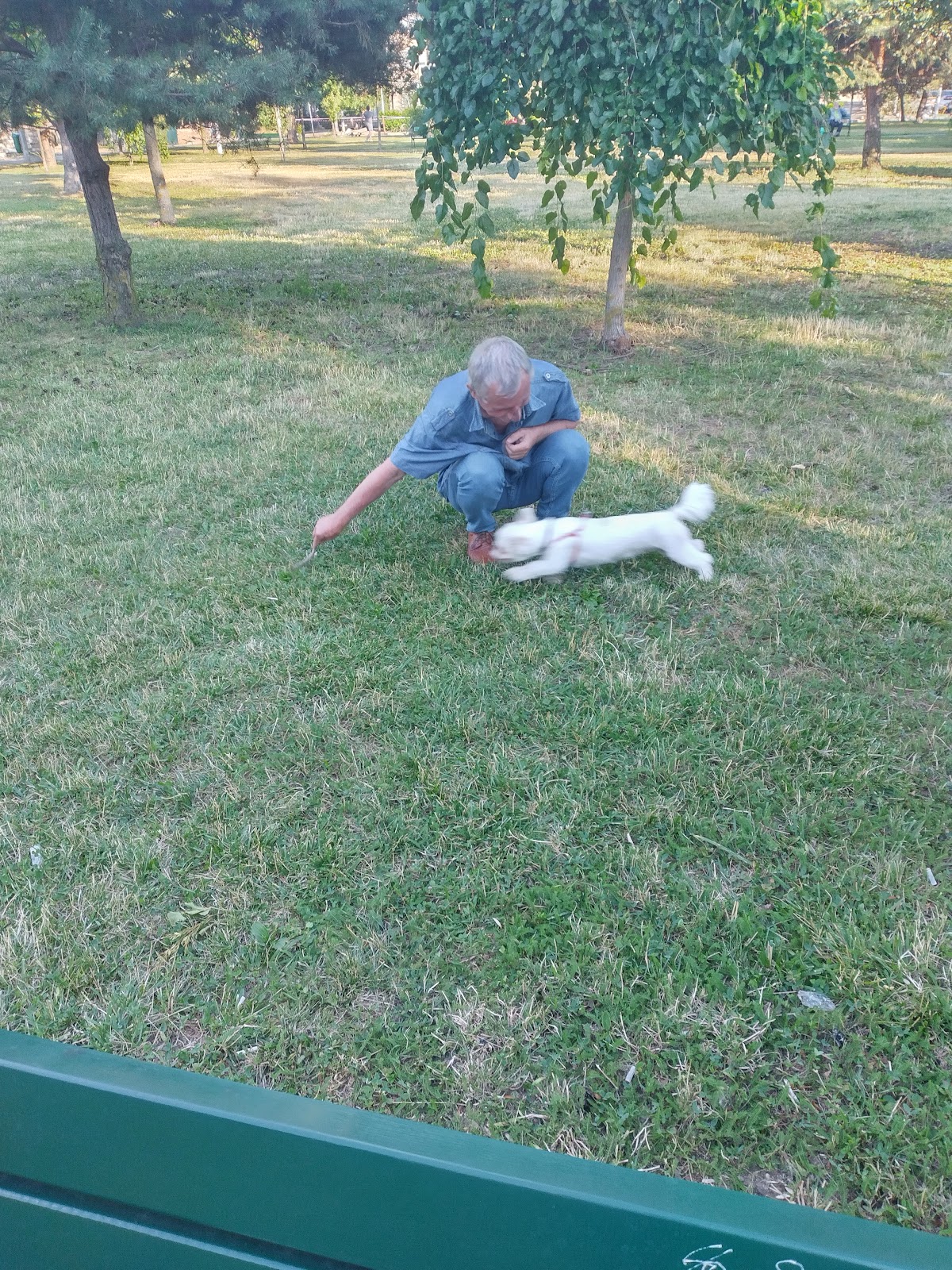 Parcul Seleuș - foto 2