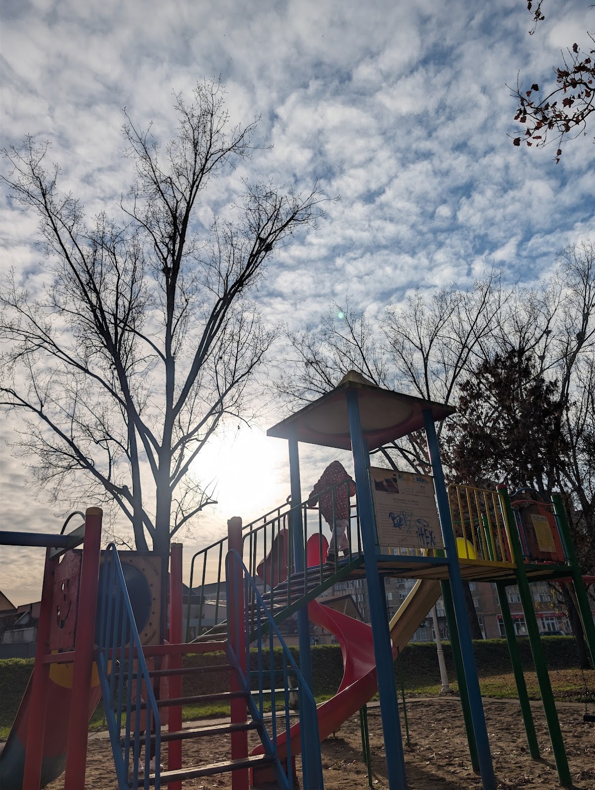 Parcul Seleuș - foto 4