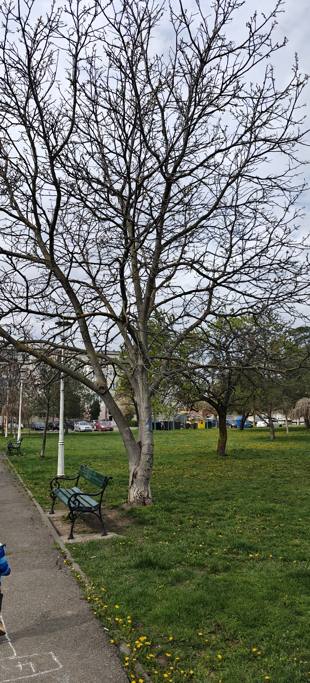 Parcul Seleuș - foto 5
