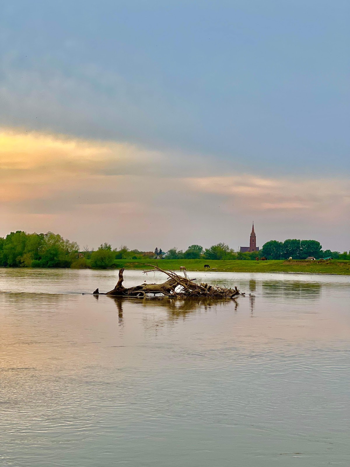 Parcul „Sfânta Treime” - foto 5