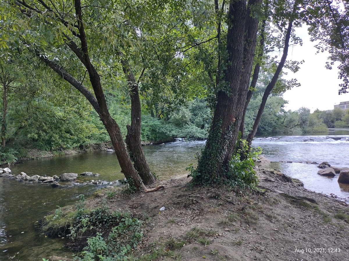 Parcul Silvaş, Oradea
