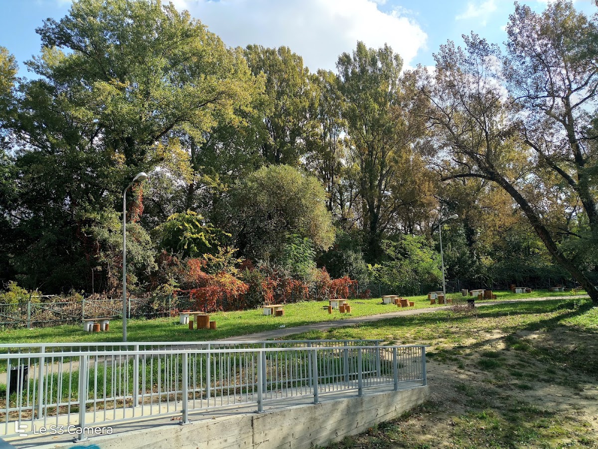 Parcul Silvaş - foto 5