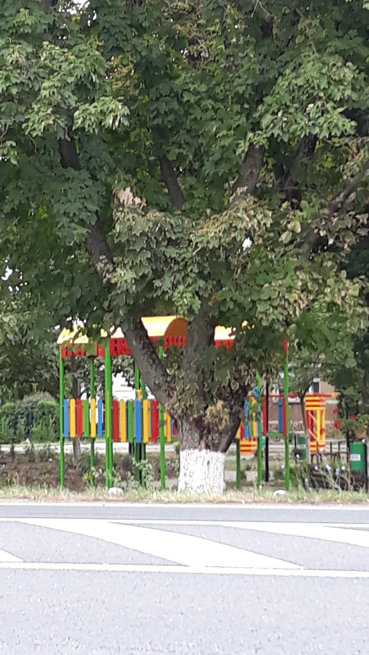 Șimand Park - foto 5