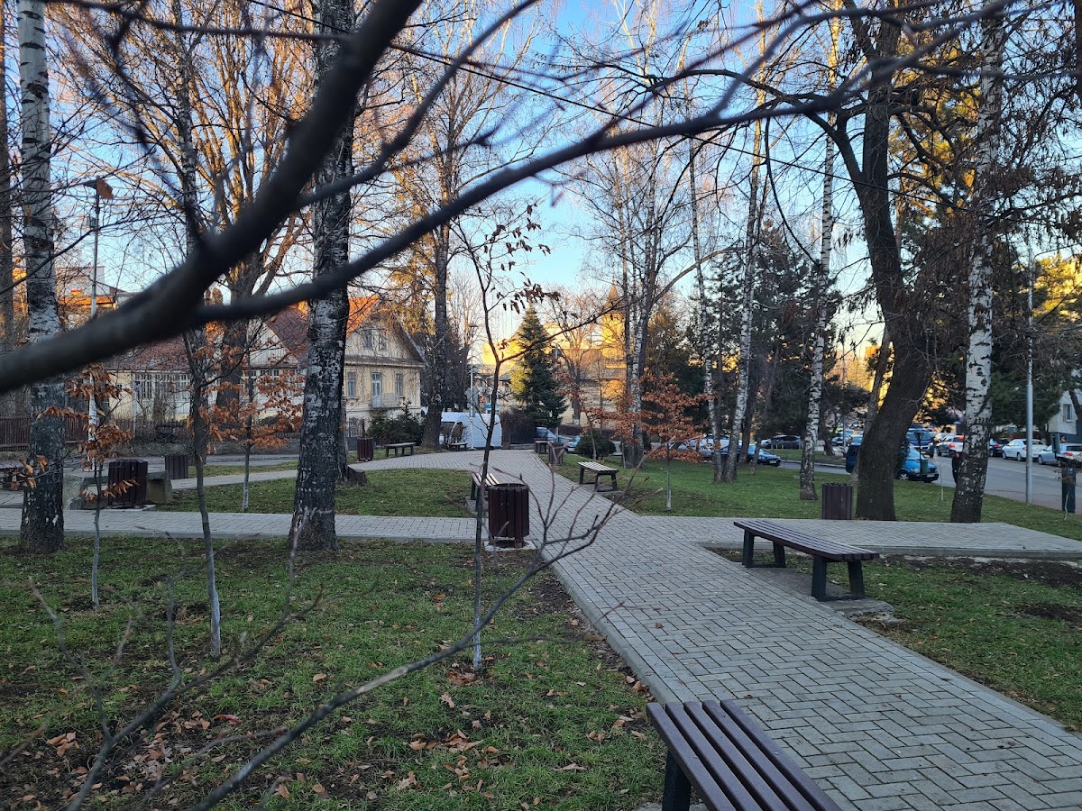 Parcul "Simion Florea Marian"