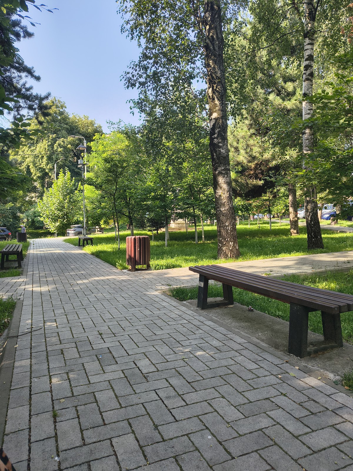 Parcul "Simion Florea Marian" - foto 2