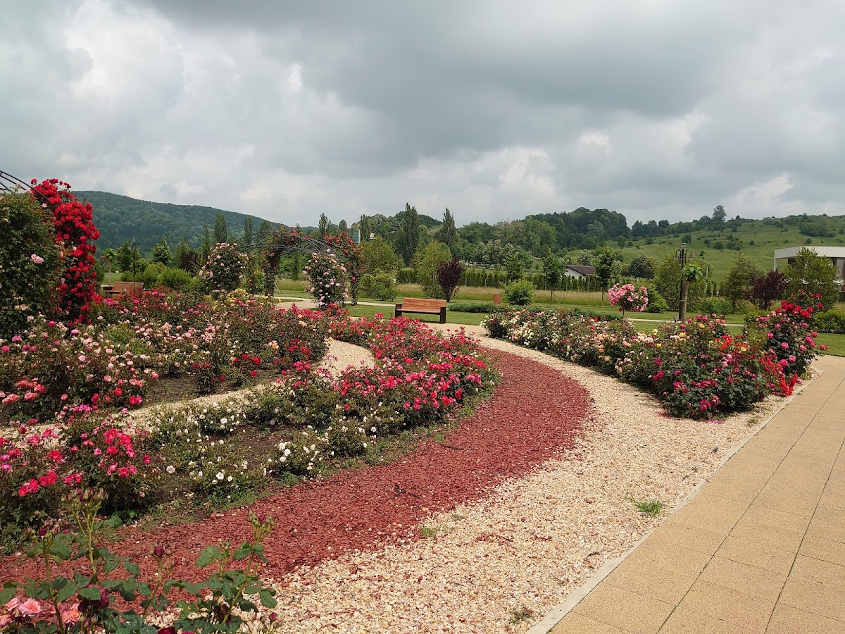 Parcul Soceram - foto 1