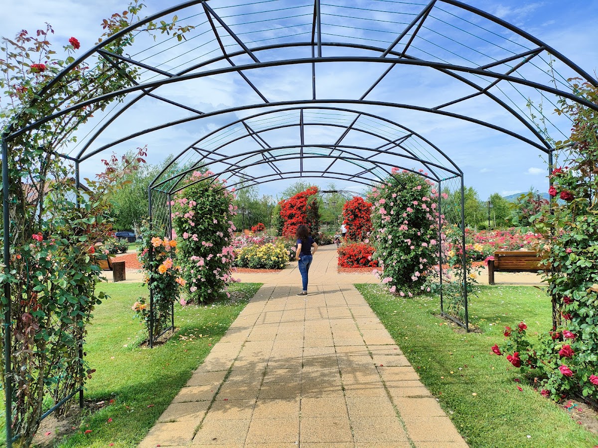 Parcul Soceram - foto 5