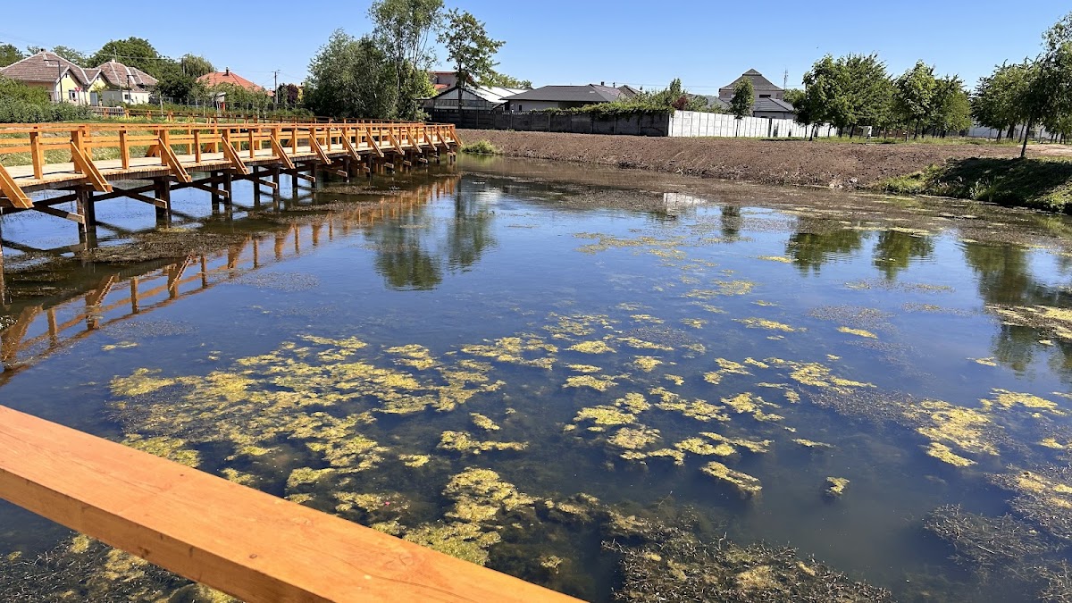 Parcul Șomoș - foto 2