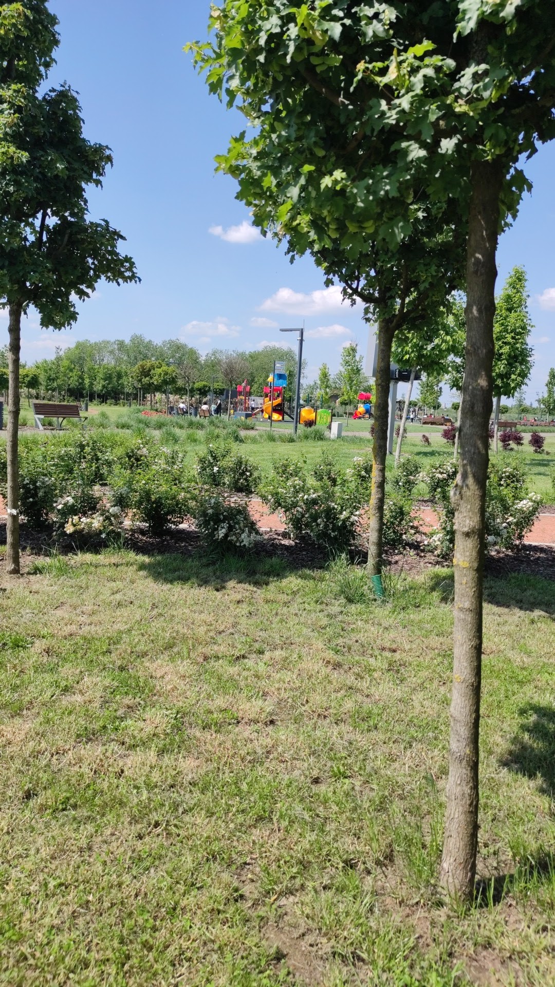 Parcul Șomoș - foto 3