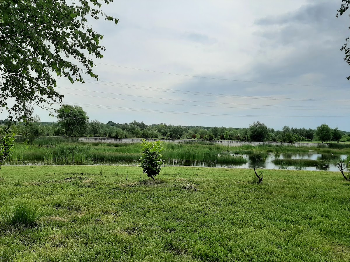 Parque Steaua Dunării - foto 3