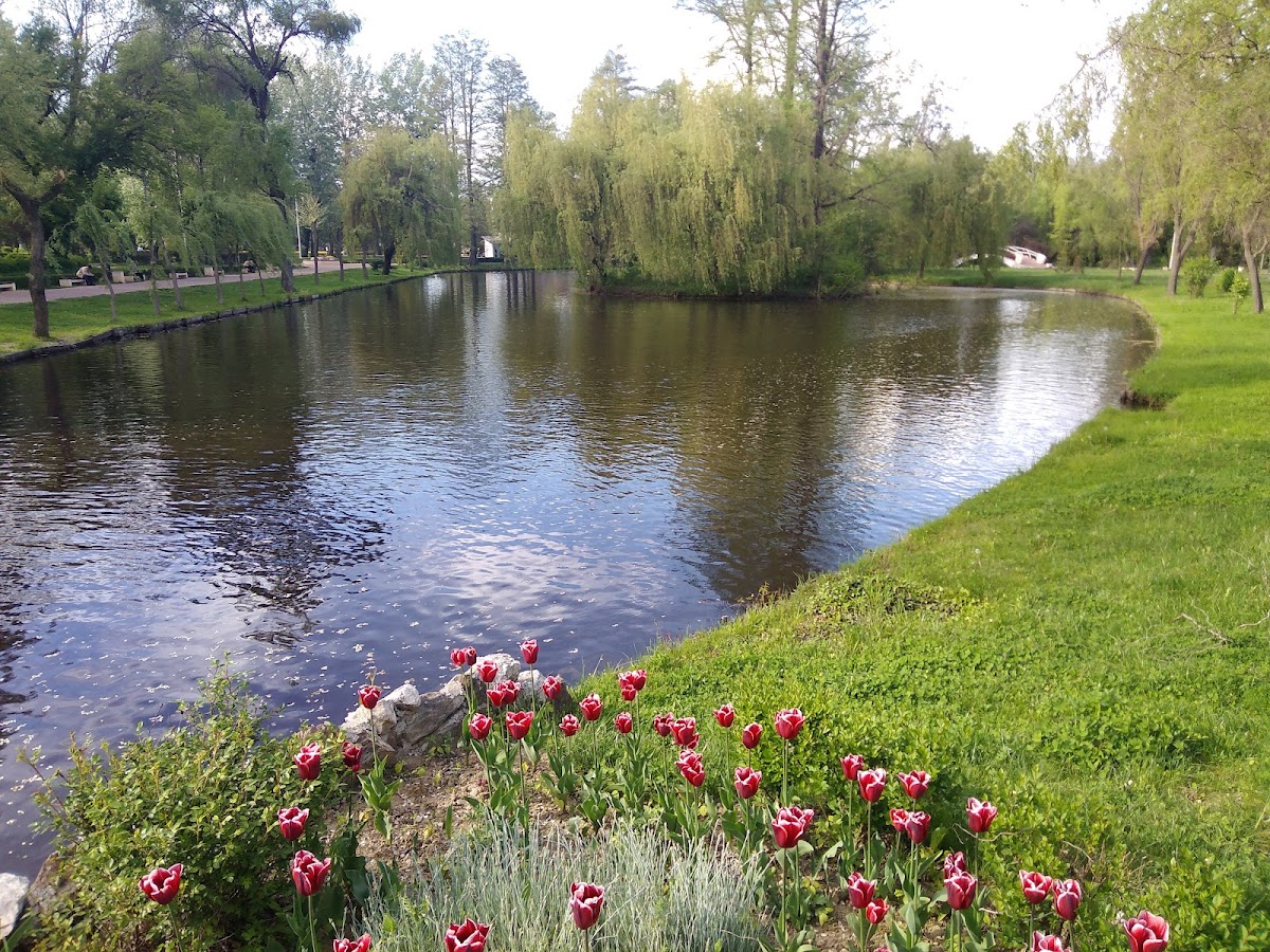 Parcul Ștrand - foto 4