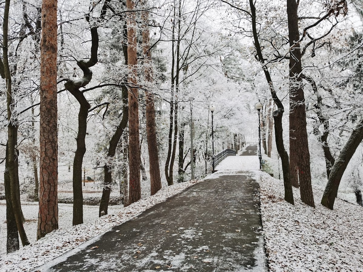 Parcul Sub Arini - foto 3