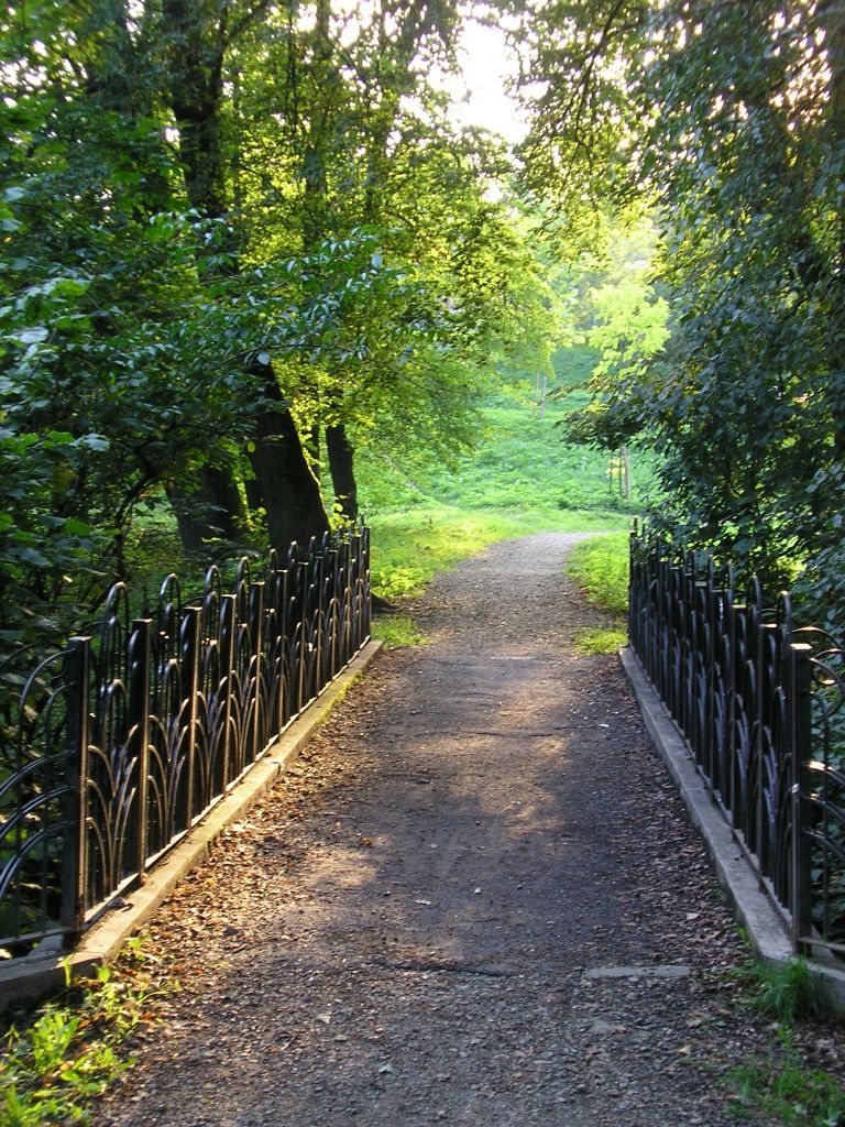 Parcul Sub Arini - foto 4