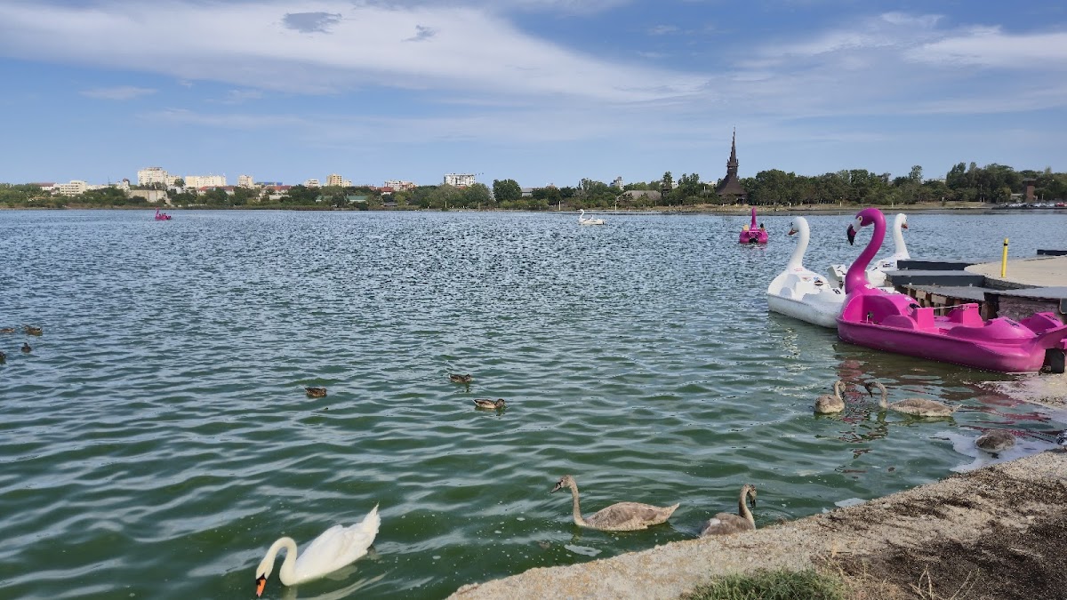 Parcul Tăbăcăriei - foto 3