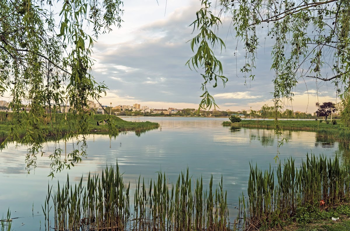 Parcul Tăbăcăriei - foto 4