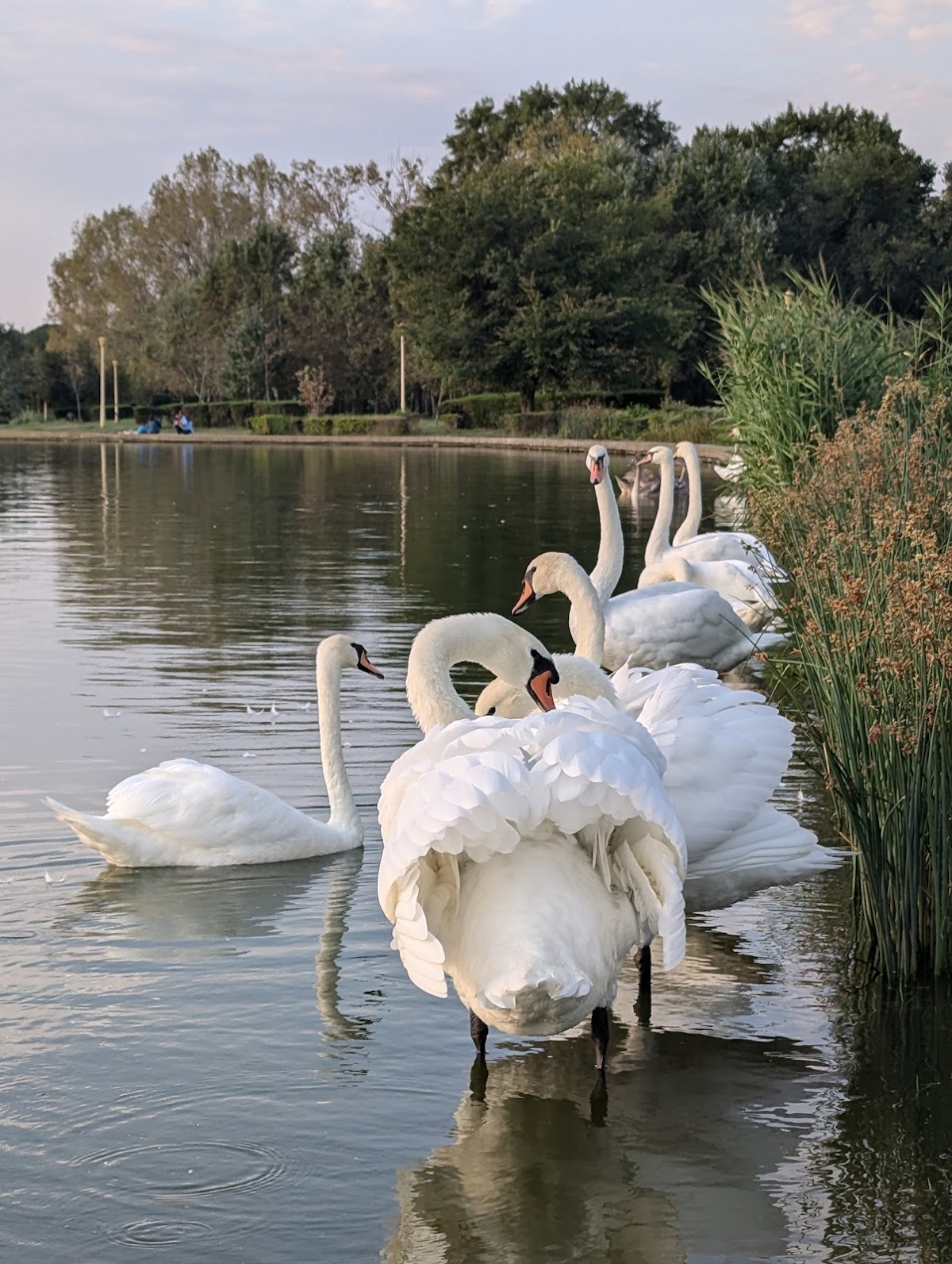 Parcul Tăbăcăriei - foto 5