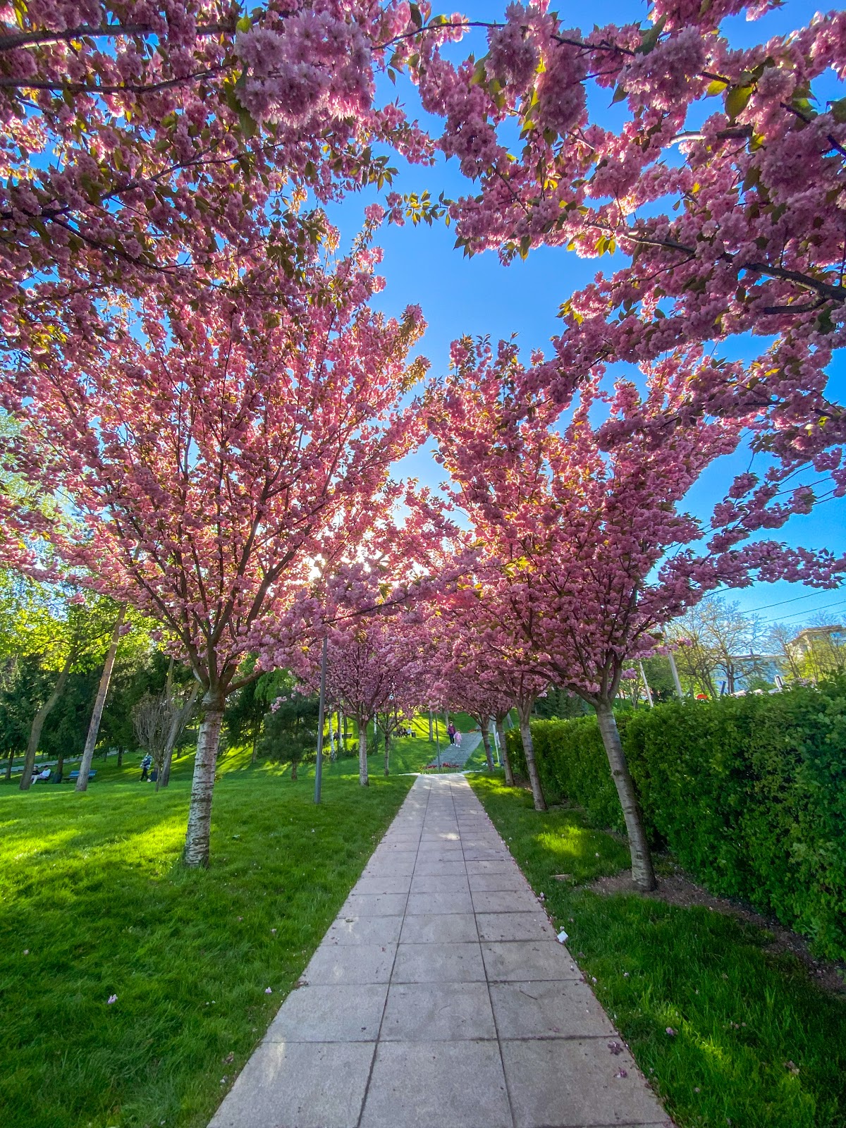 Nyári Színház Park - foto 4