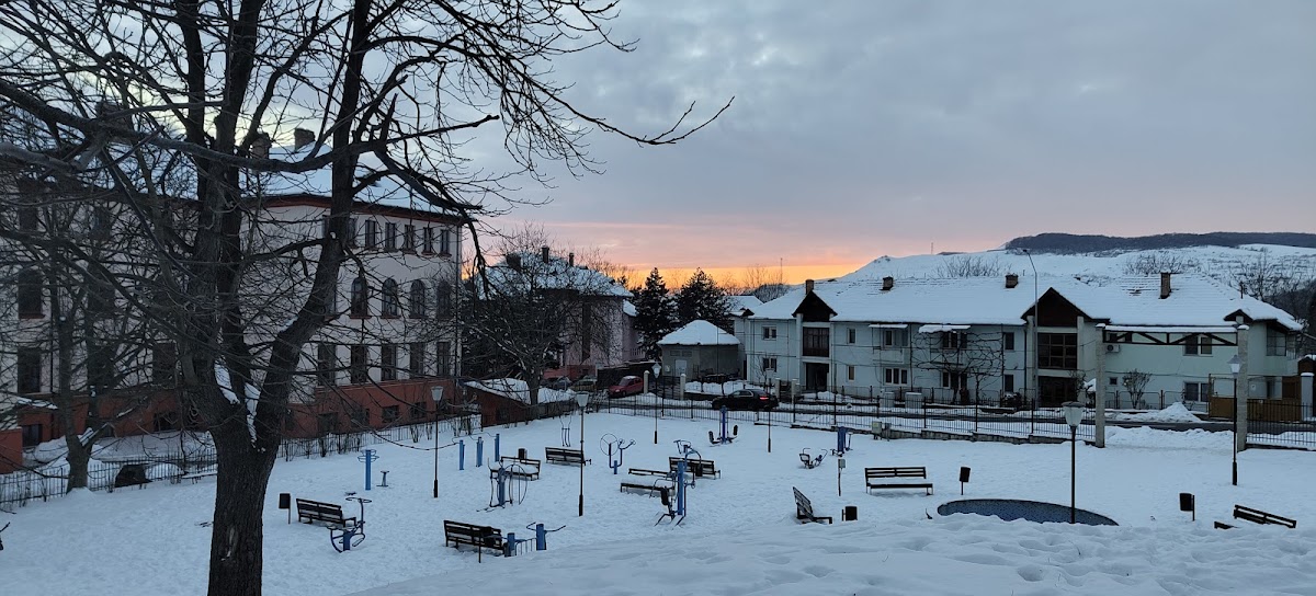 Timotei Cipariu Park - foto 3