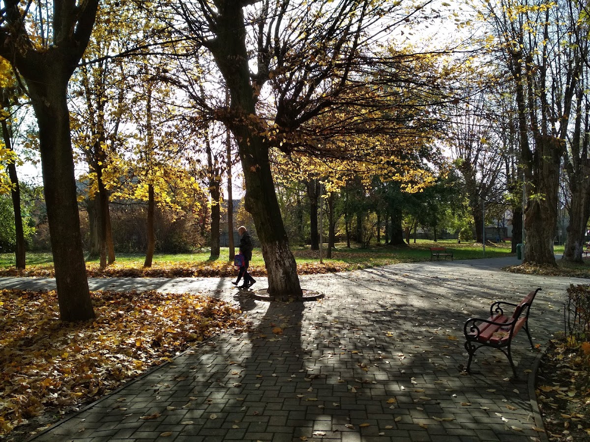 Parcul Tineretului - foto 1