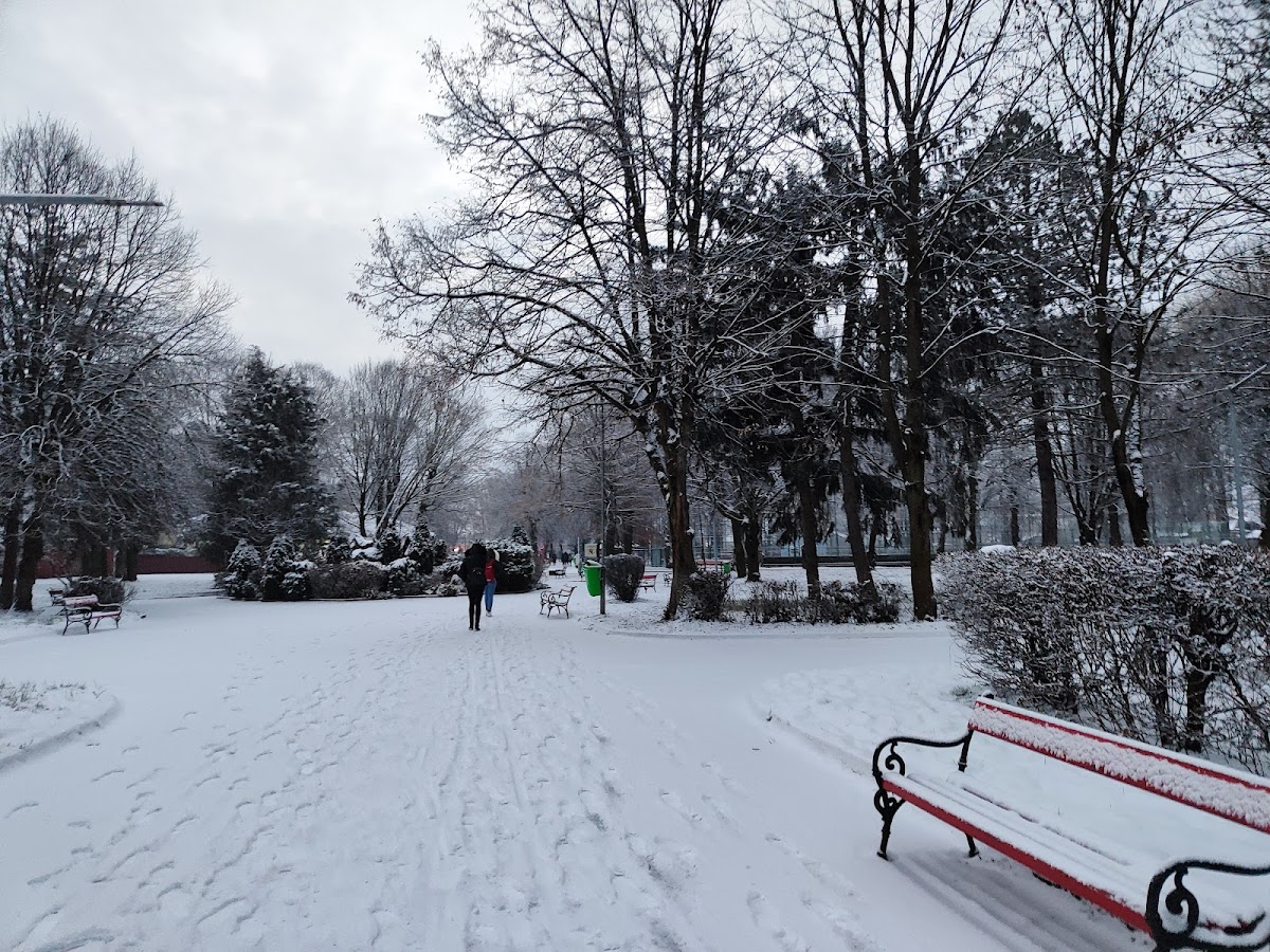 Parcul Tineretului - foto 2
