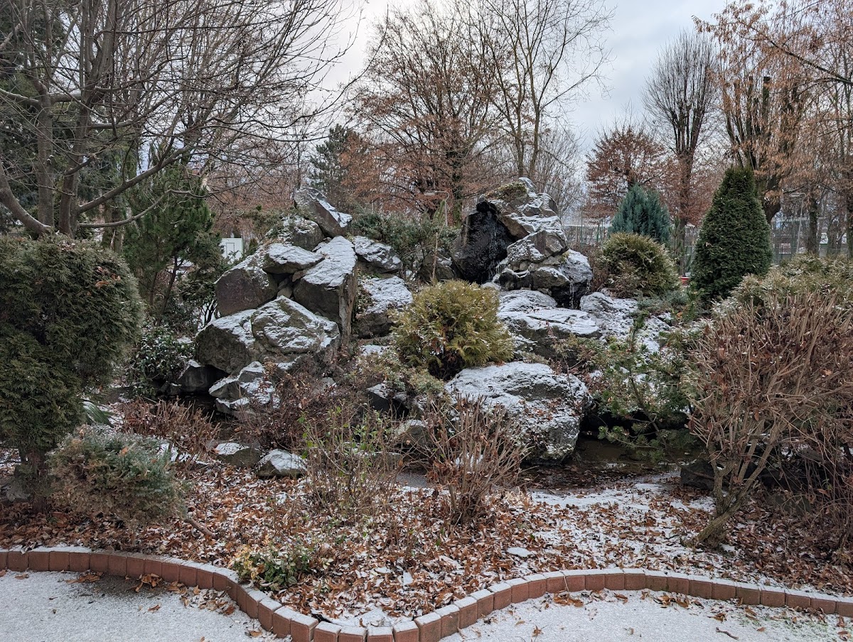 Parcul Tineretului - foto 4